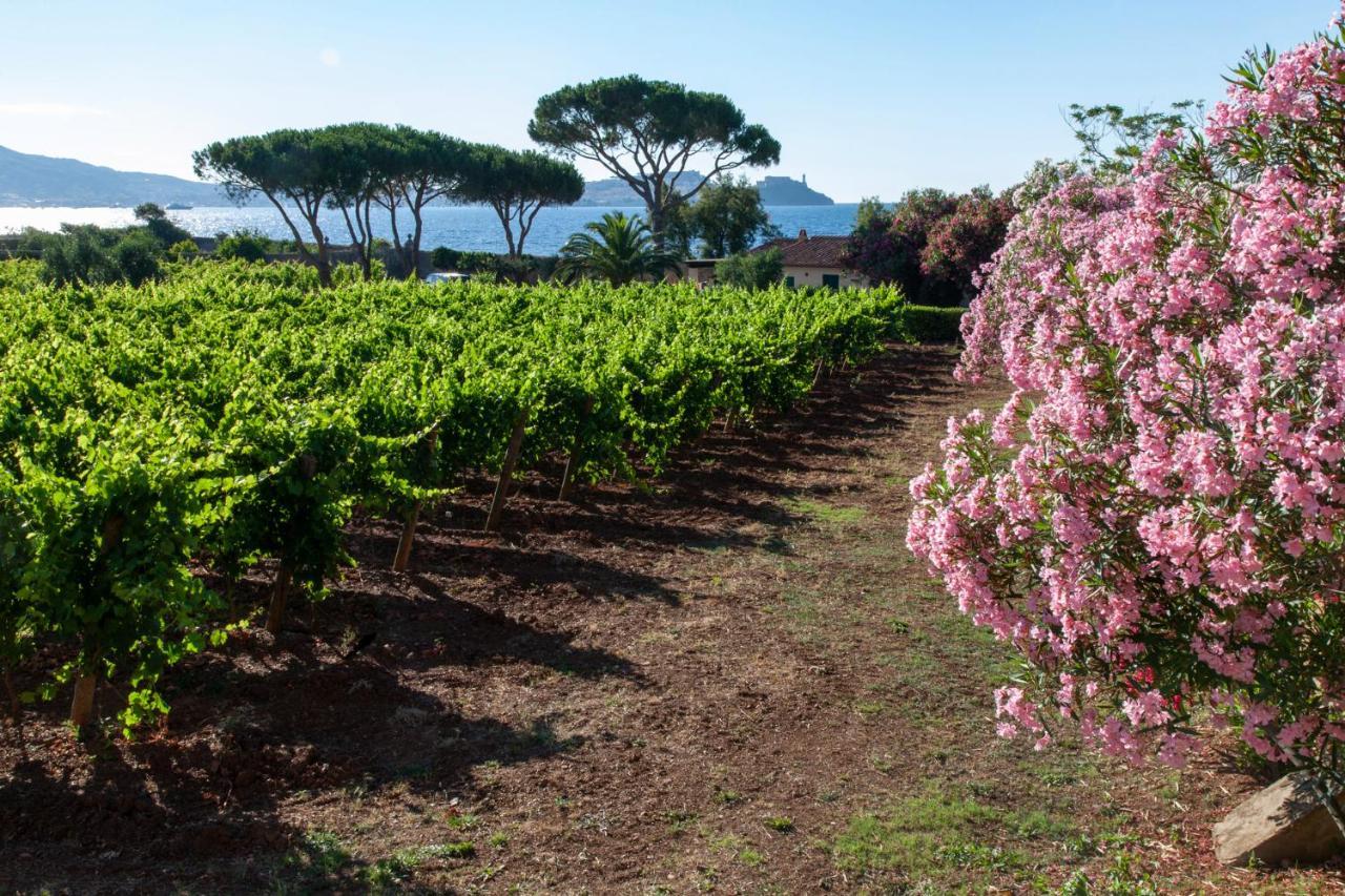 Tenuta La Chiusa Portoferraio Luaran gambar